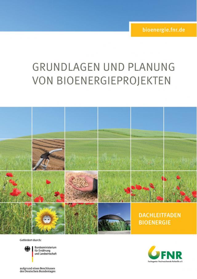 Grundlagen und Planung von Bioenergieprojekten