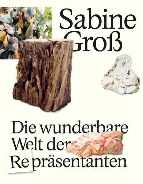 Sabine Groß: Die wunderbare Welt der Repräsentanten