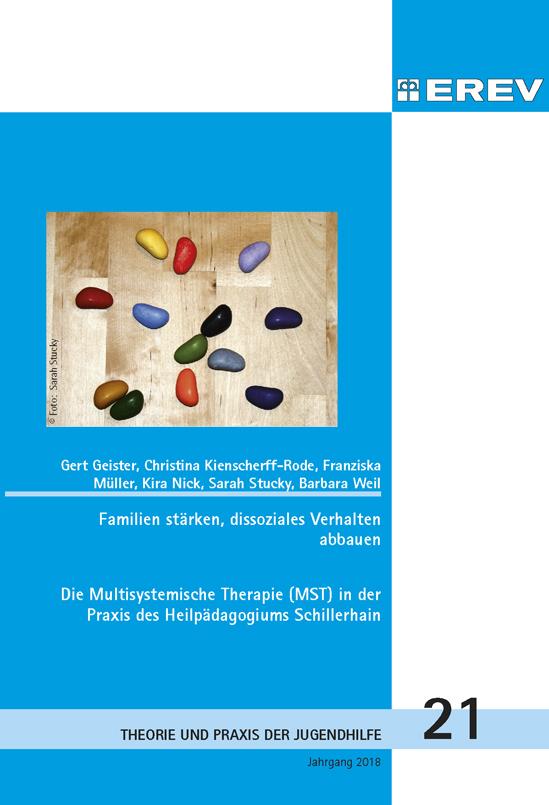 Die Multisystemische Therapie (MST) in der Praxis des Heilpädagogiums Schillerhain