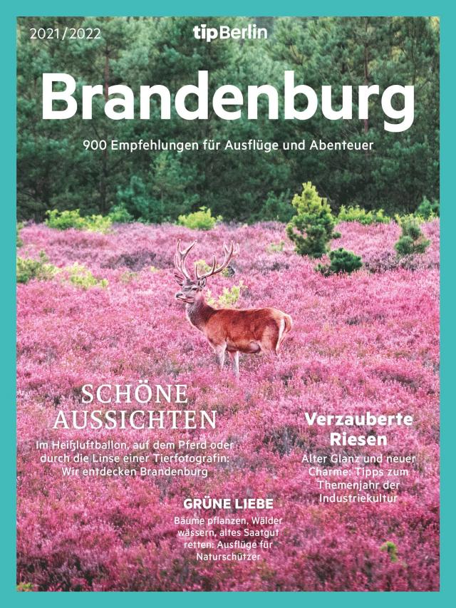 Brandenburg 2021/2022