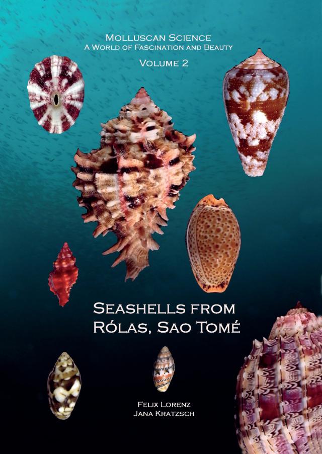 Seashells from Rólas, Sao Tomé