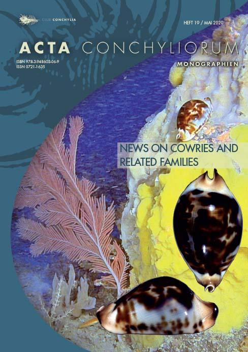 News on Cowries and Related Families