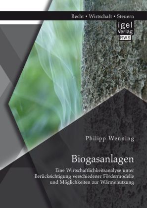 Biogasanlagen: Eine Wirtschaftlichkeitsanalyse unter Berücksichtigung verschiedener Fördermodelle und Möglichkeiten zur Wärmenutzung