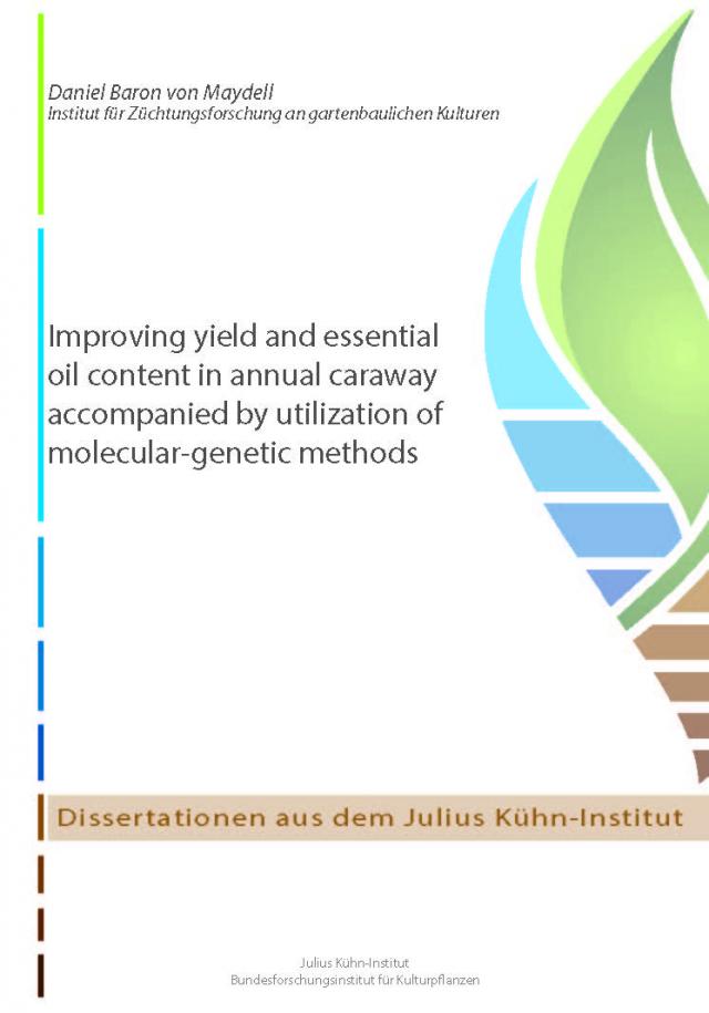 Improving yield and essential oil content in annual caraway accompanied by utilization of molecular-genetic methods