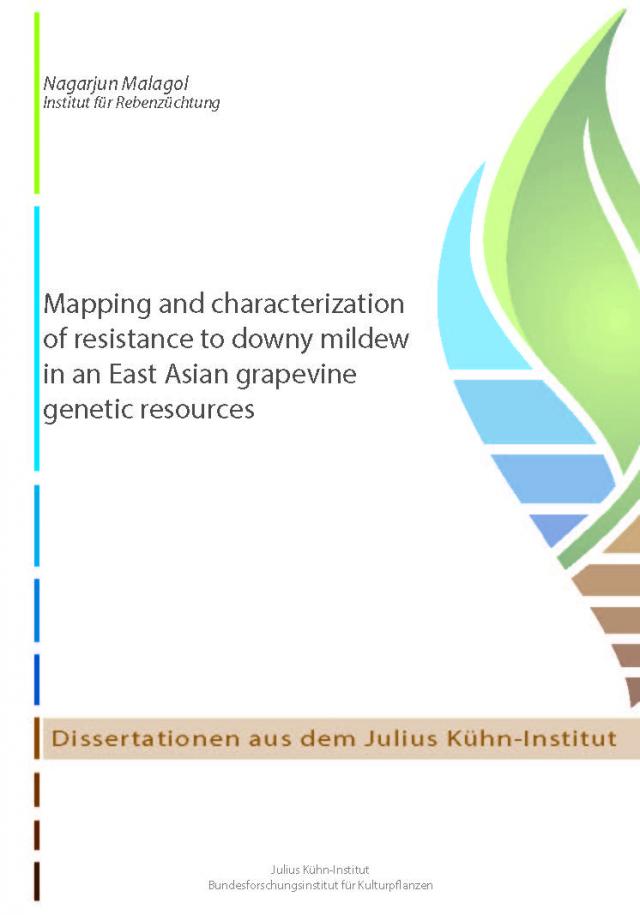 Mapping and characterization of resistance to downy mildew in an East Asian grapevine genetic resources