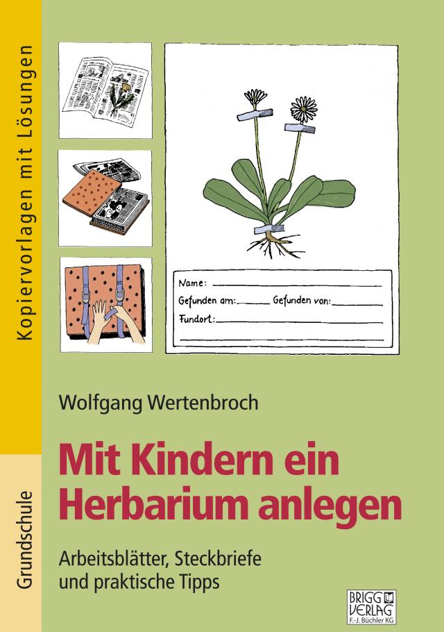 Mit Kindern ein Herbarium anlegen