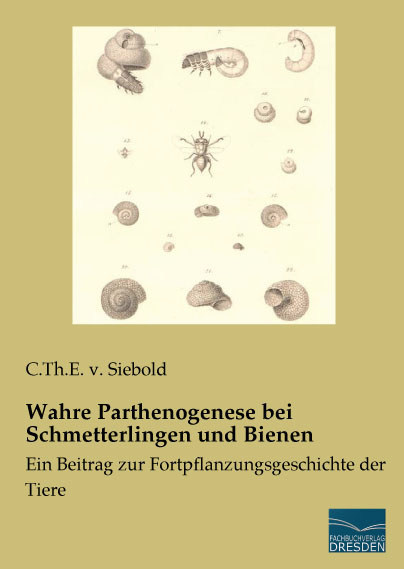 Wahre Parthenogenese bei Schmetterlingen und Bienen
