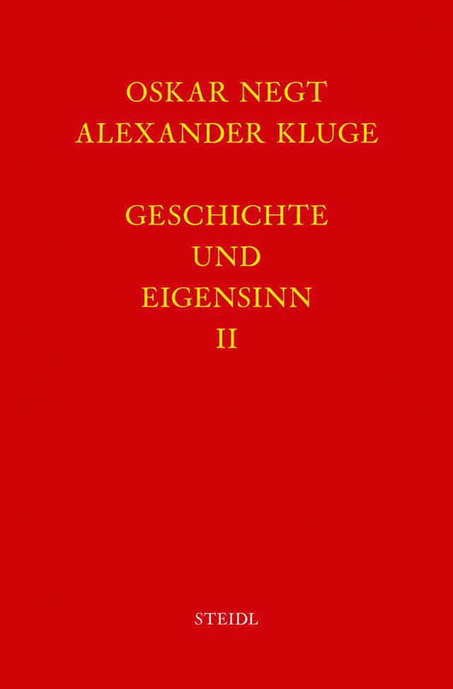 Werkausgabe Bd. 6.2 / Geschichte und Eigensinn II: Deutschland als Produktionsöffentlichkeit