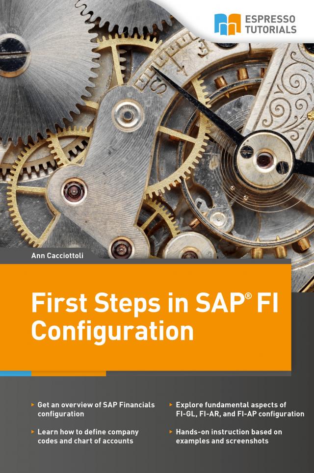 First Steps in SAP FI Configuration
