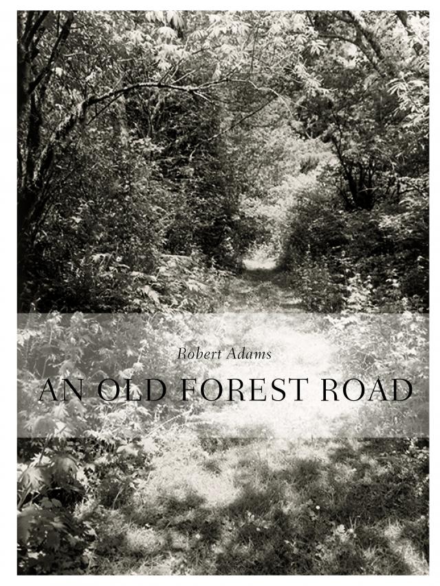 Robert Adams. An Old Forest Road