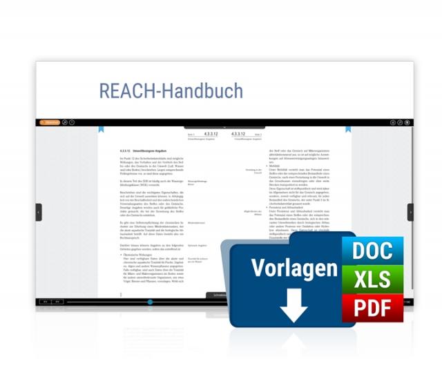 REACH-Handbuch