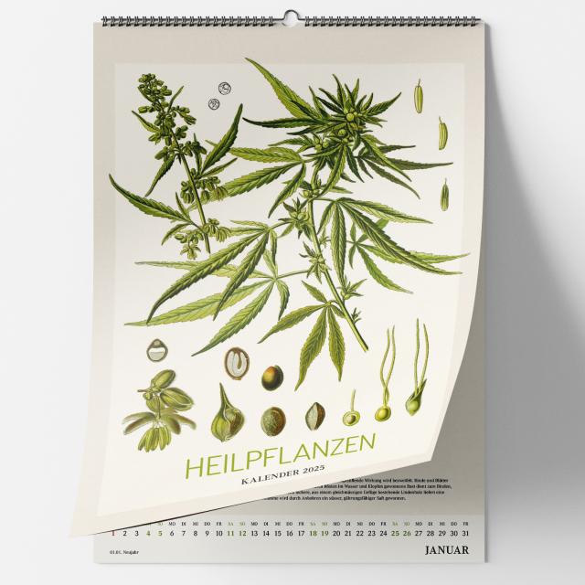 Historische Heilpflanzen. Wandkalender 2025