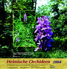 Heimische Orchideen I (2004)