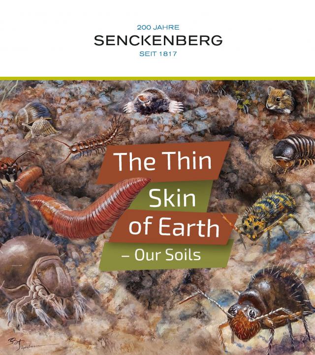The skin of earth - our soils