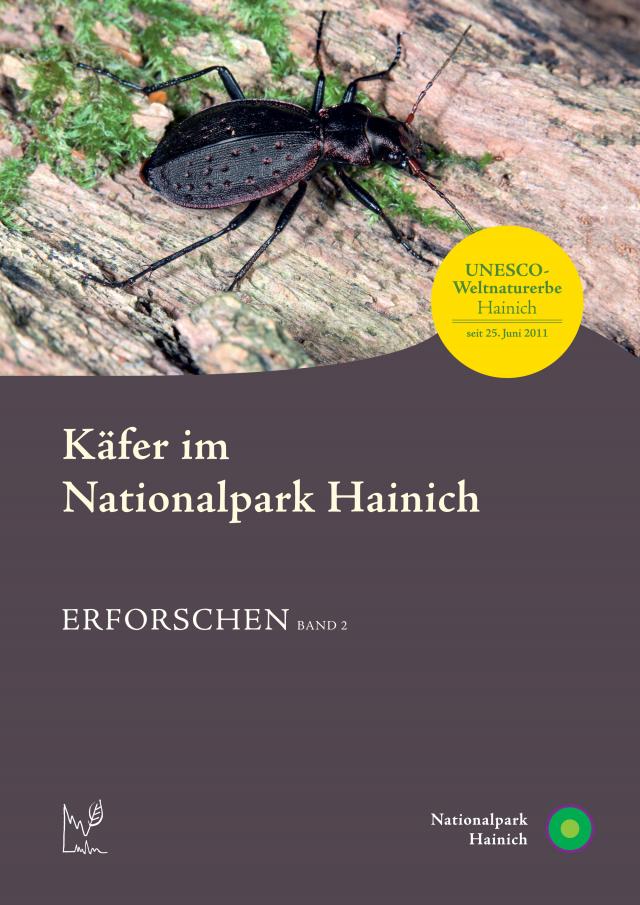 Käfer im Nationalpark Hainich