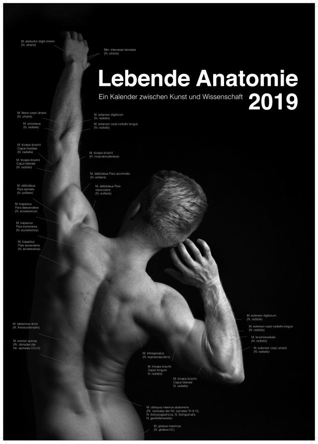 Lebende Anatomie 2019