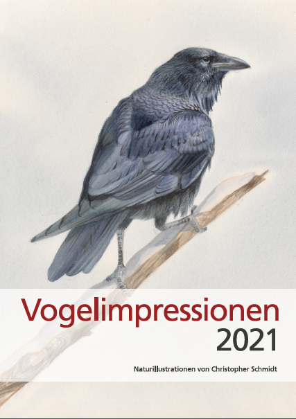 Vogelimpressionen 2021