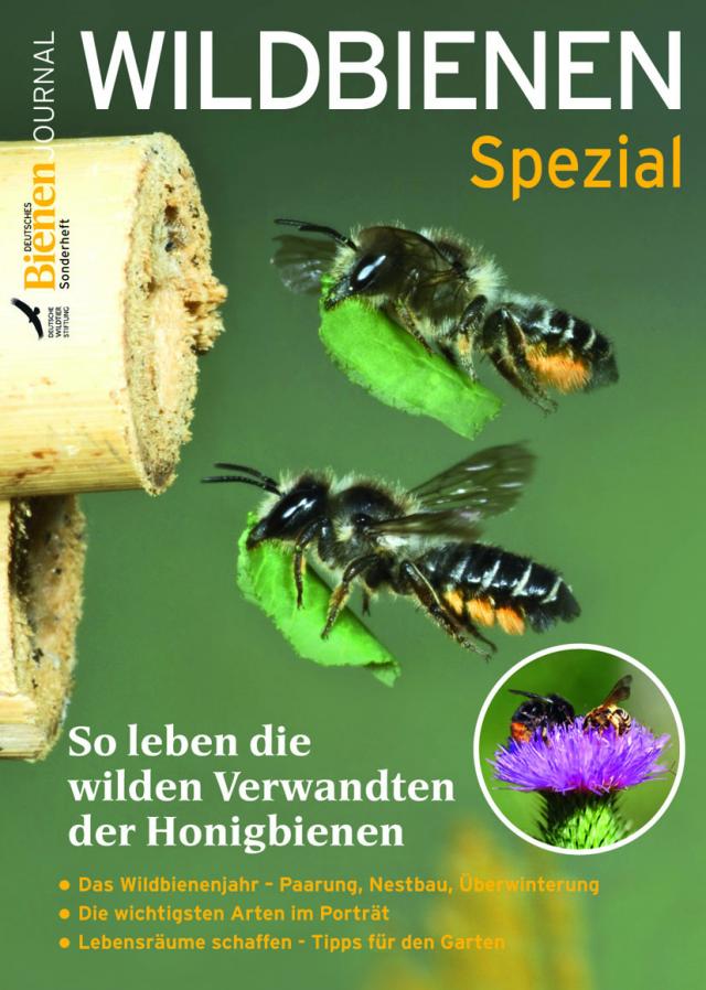 Bienen-Journal Spezial Wildbienen