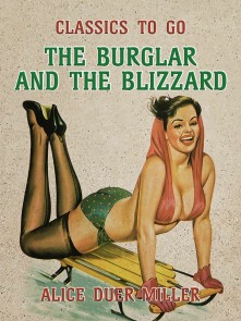 Burglar and the Blizzard