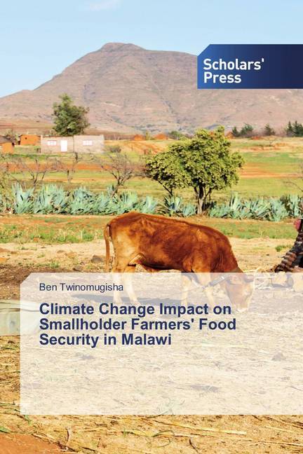 Climate Change Impact on Smallholder Farmers' Food Security in Malawi