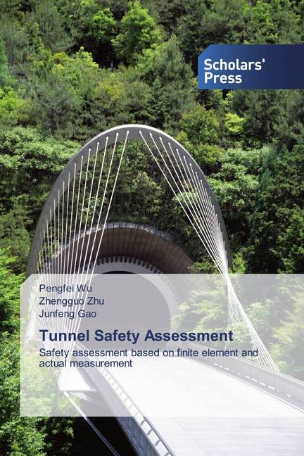Tunnel Safety Assessment