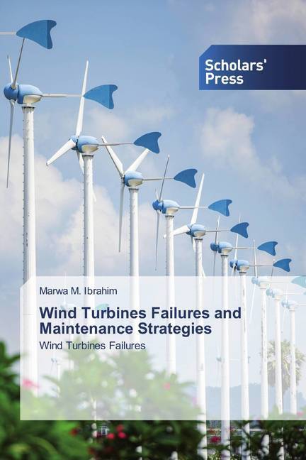 Wind Turbines Failures and Maintenance Strategies