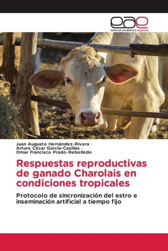 Respuestas reproductivas de ganado Charolais en condiciones tropicales
