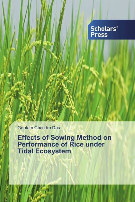 Effects of Sowing Method on Performance of Rice under Tidal Ecosystem