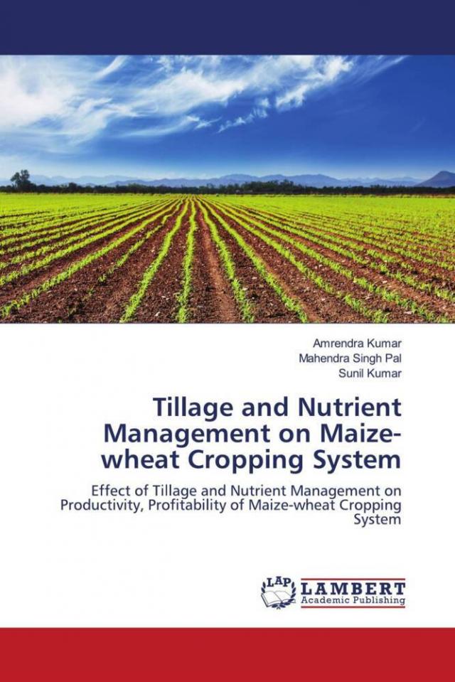 Tillage and Nutrient Management on Maize-wheat Cropping System