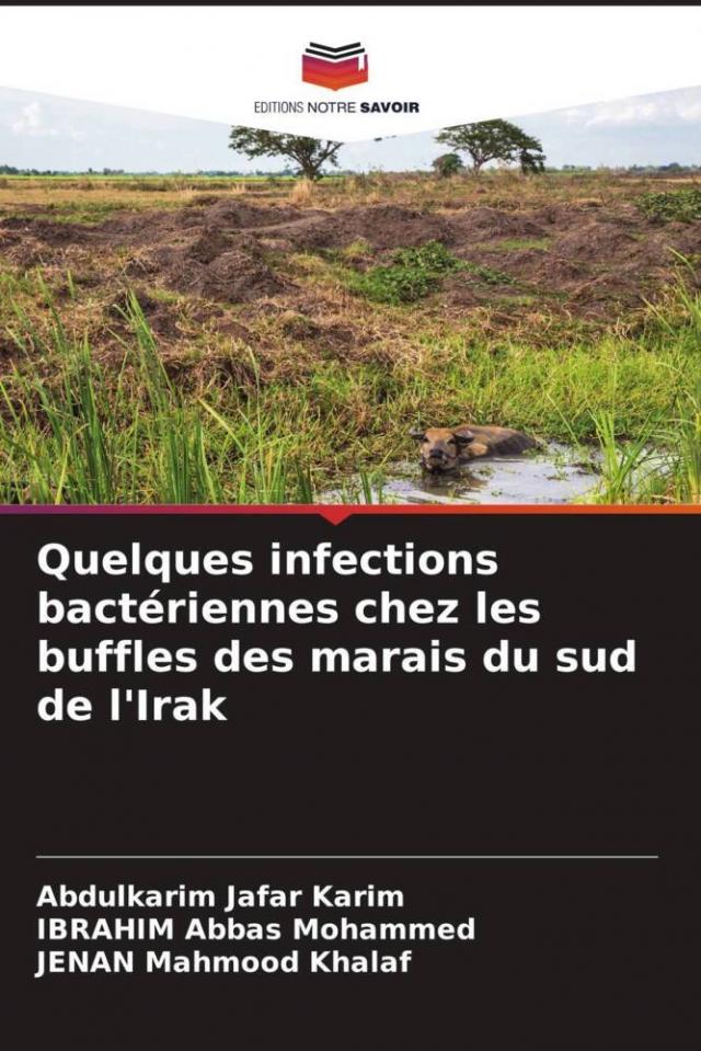 Quelques infections bactériennes chez les buffles des marais du sud de l'Irak