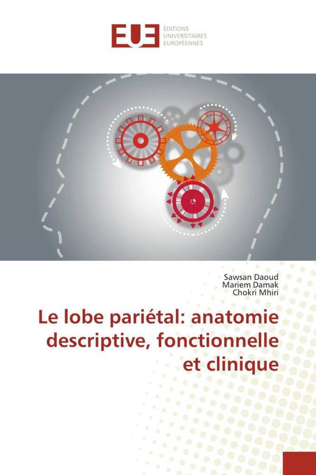 Le lobe pariétal: anatomie descriptive, fonctionnelle et clinique