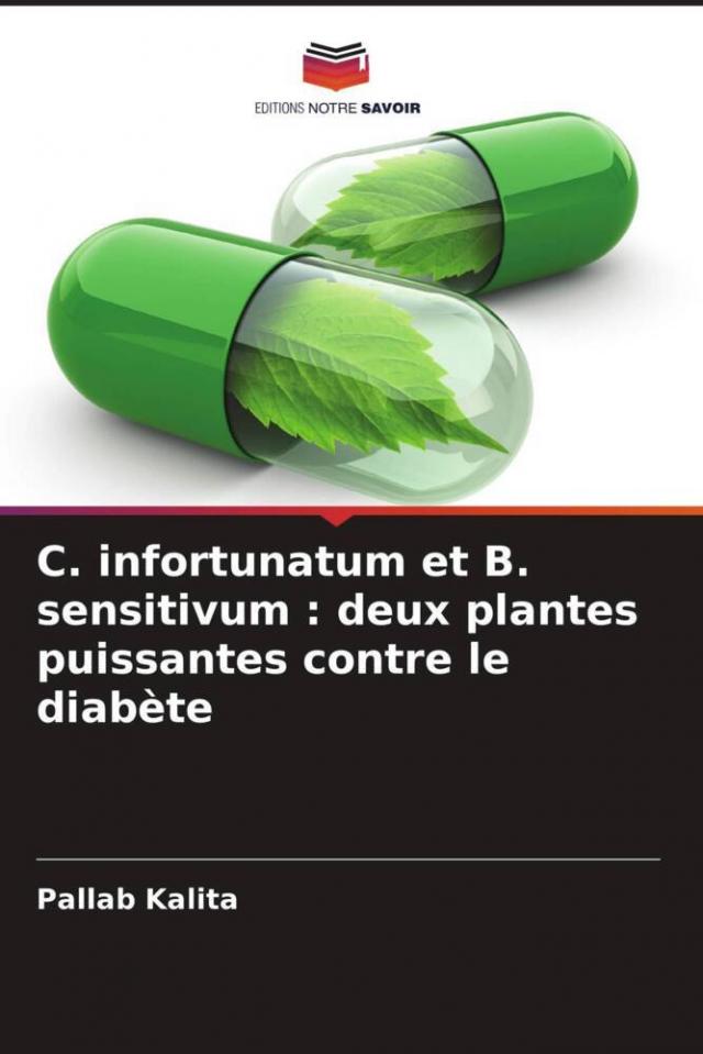 C. infortunatum et B. sensitivum : deux plantes puissantes contre le diabète