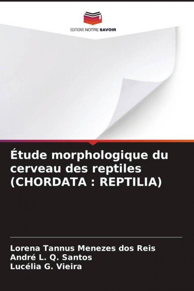 Étude morphologique du cerveau des reptiles (CHORDATA : REPTILIA)