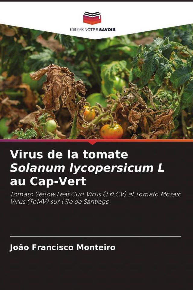 Virus de la tomate Solanum lycopersicum L au Cap-Vert