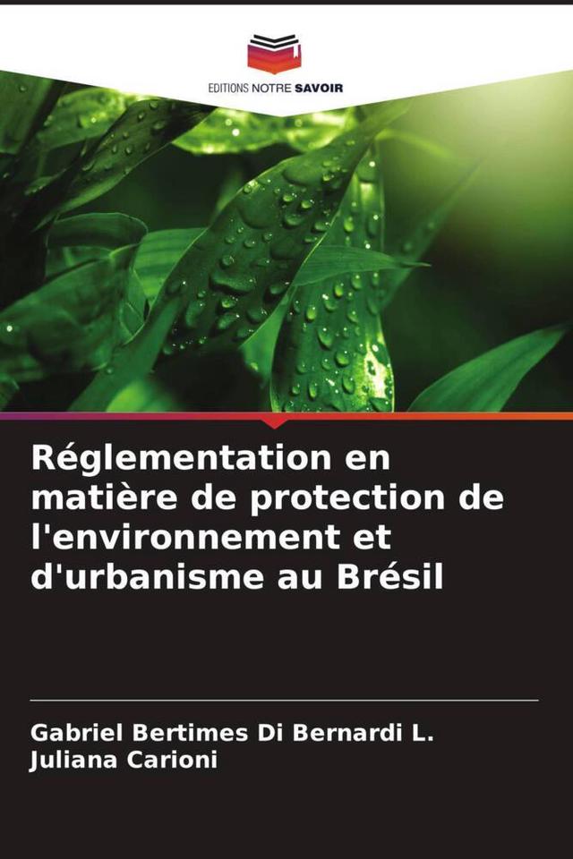 Réglementation en matière de protection de l'environnement et d'urbanisme au Brésil