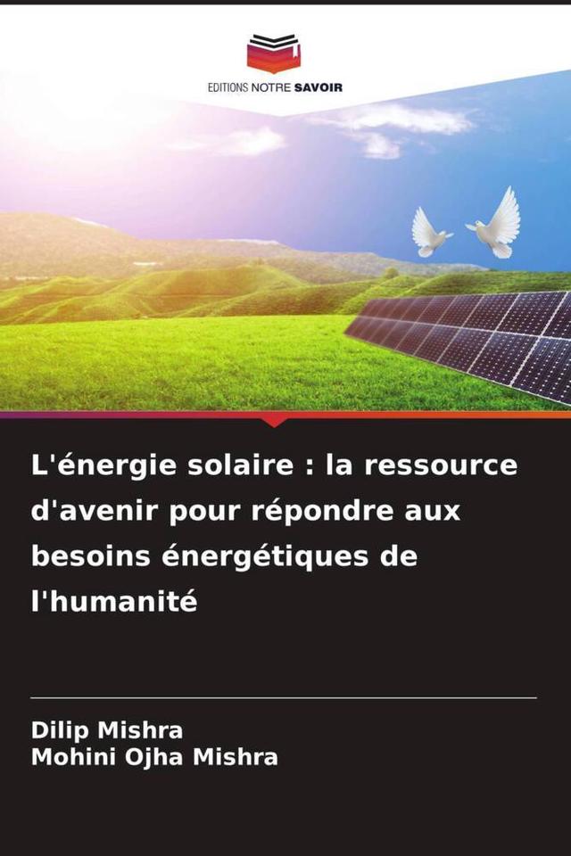 L'énergie solaire : la ressource d'avenir pour répondre aux besoins énergétiques de l'humanité