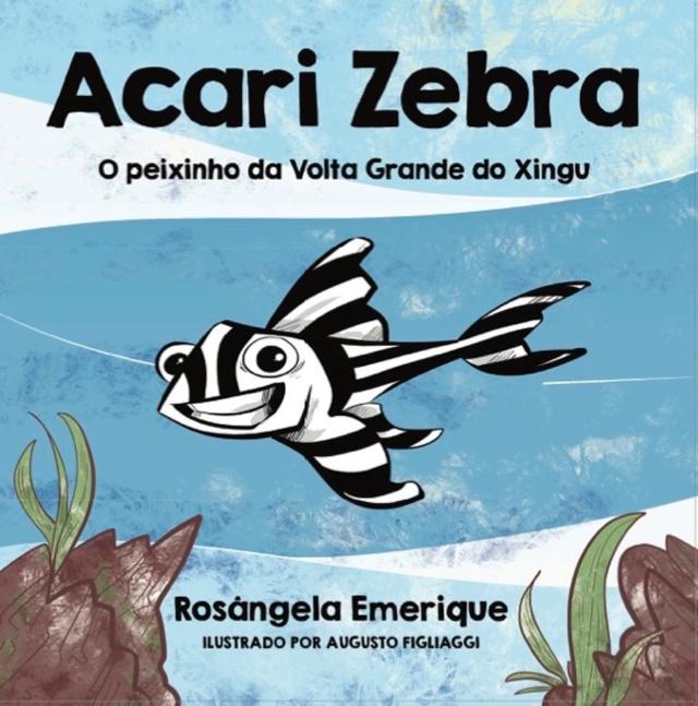 Acari zebra, o peixinho da volta grande do xingu