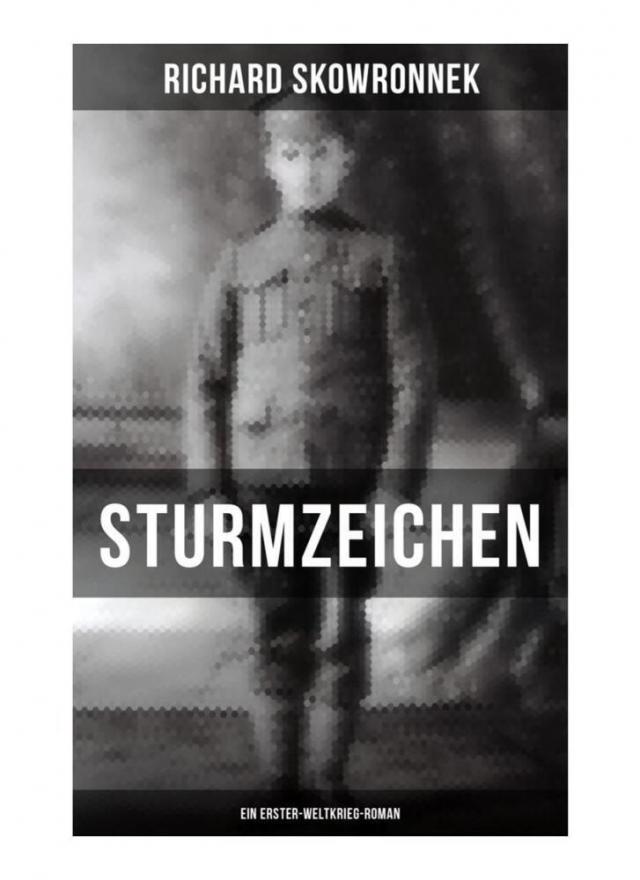 Sturmzeichen (Ein Erster-Weltkrieg-Roman)