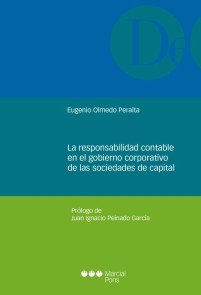 La responsabilidad contable en el gobierno corporativo de las sociedades de capital Monografías jurídicas  