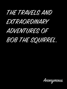 The Travels And Extraordinary Adventures Of Bob The Squirrel.