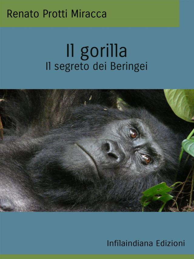 Il gorilla