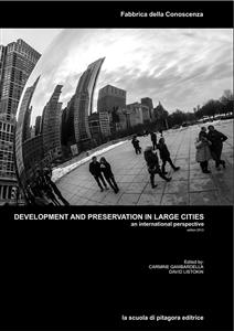 Development and preservation in large cities