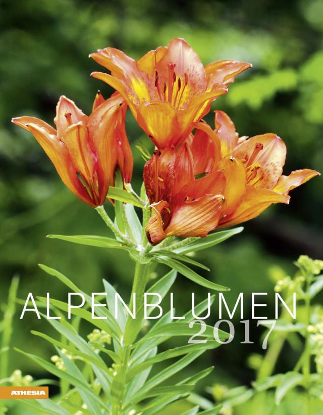 Kalender Alpenblumen 2017