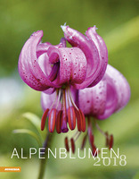 Alpenblumen Kalender 2018