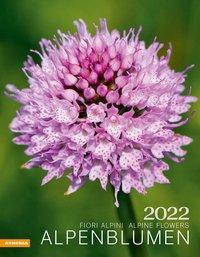 Bildkalender Alpenblumen, fiori alpini, flowers 2022