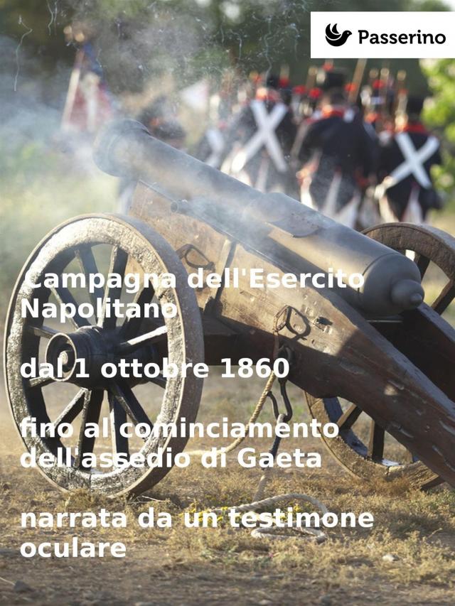 Campagna dell'Esercito Napolitano dal 1 ottobre 1860  fino al cominciamento dell'assedio di Gaeta narrata da un testimone oculare