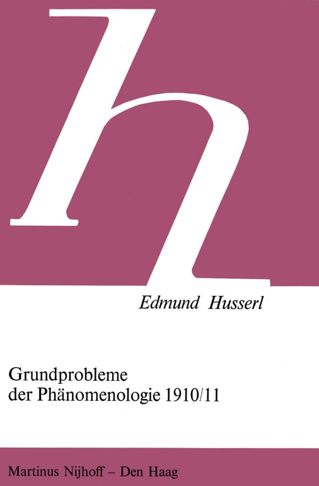 Grundprobleme der Phänomenologie 1910/11