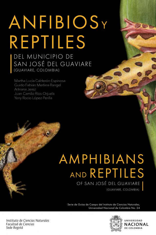 Anfibios y reptiles del municipio de San José del Guaviare (Guaviare, Colombia)