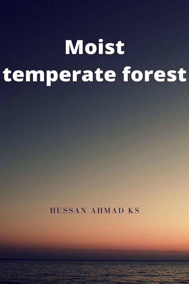 Moist Temperate Forest