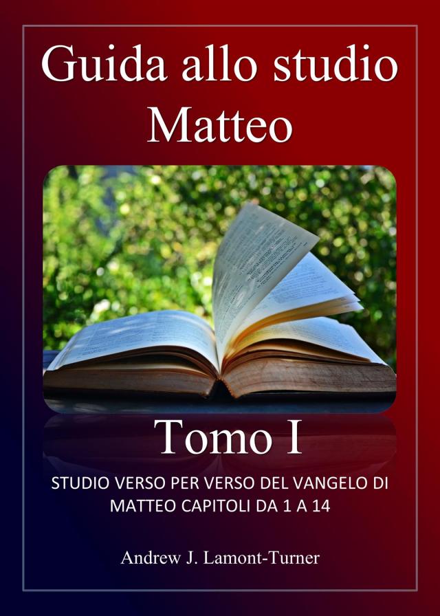 Guida allo studio: Matteo Tomo I